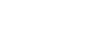 ASV logo