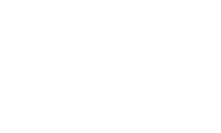 Sany logo